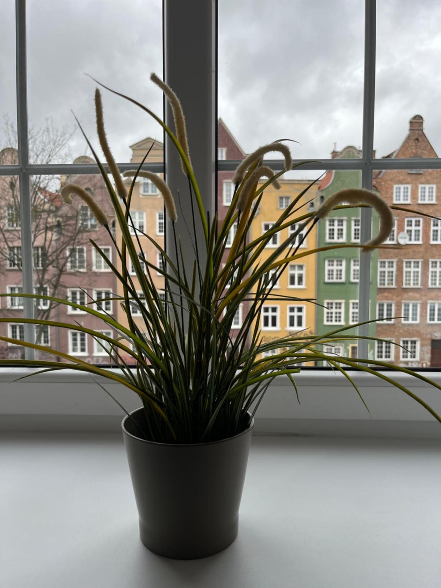 Apartament Piwna52 Gdańsk Zewnętrze zdjęcie